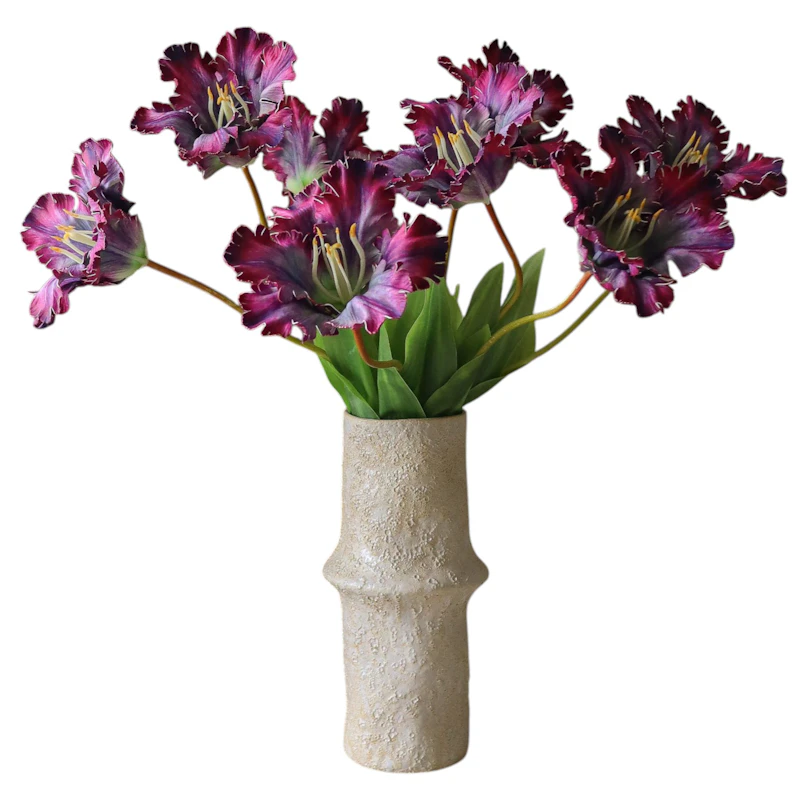 Parrot Tulip Bukett 70 cm 5-pack