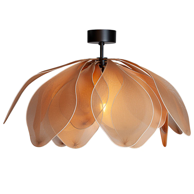 Lou Lou Plafond, Natur