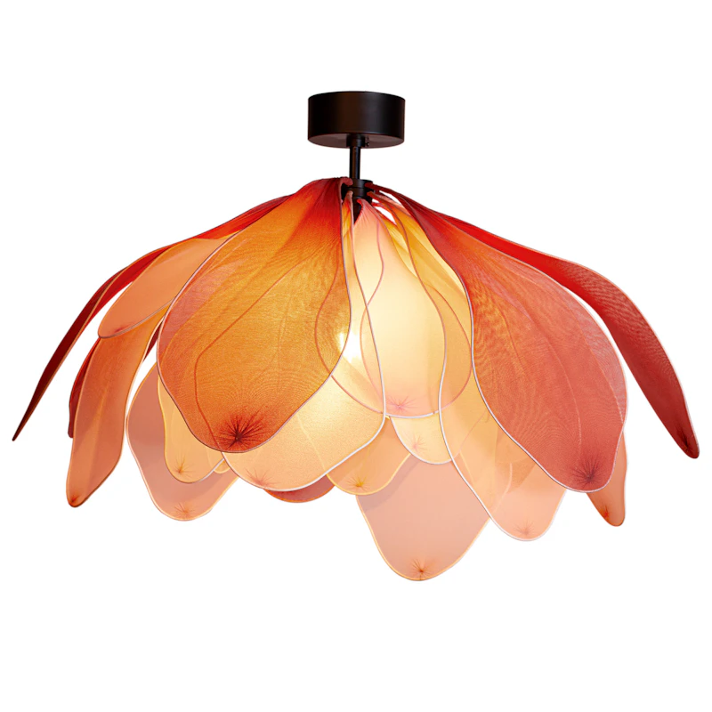 Lou Lou Plafond, Rosa