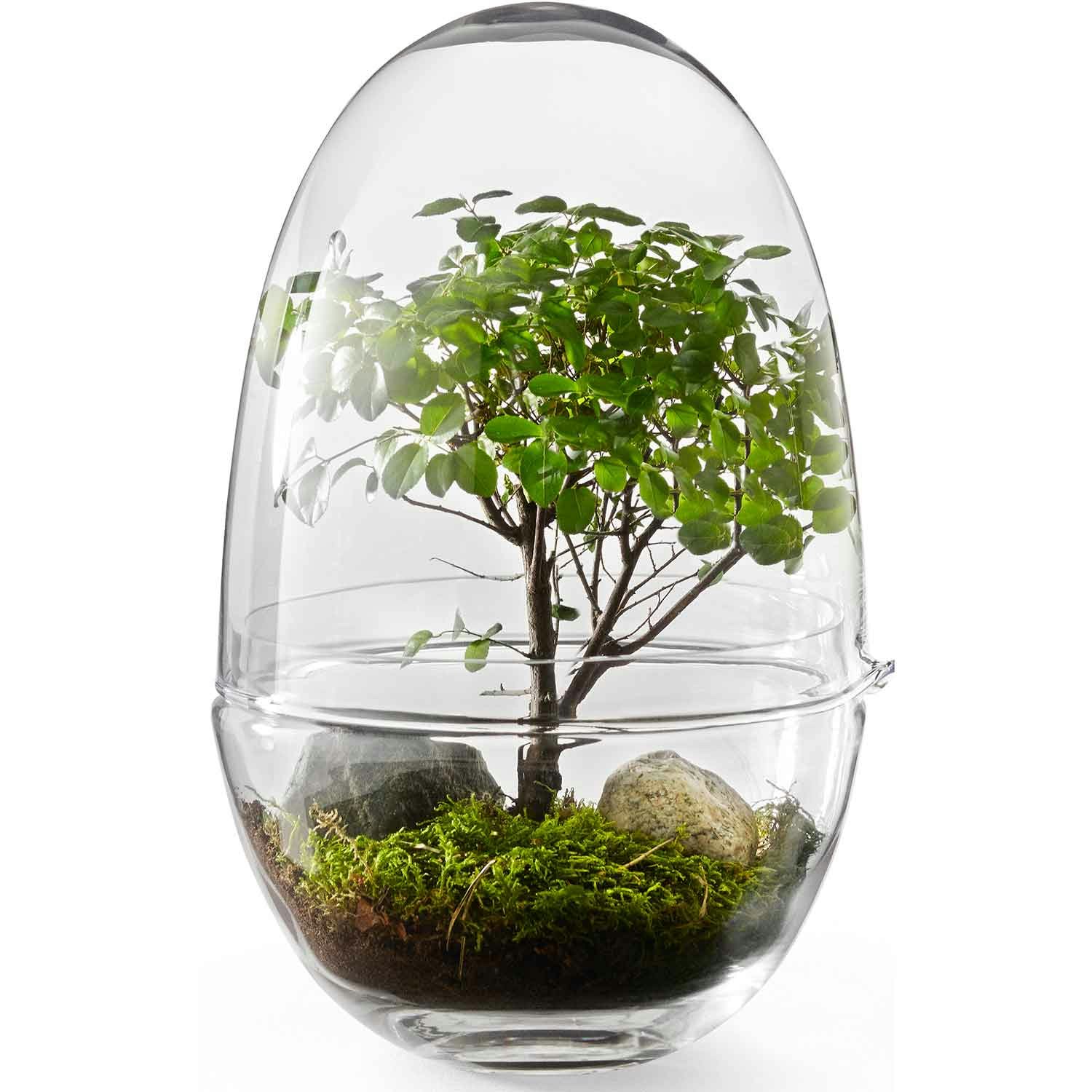 Design House Stockholm Grow Miniv&auml;xthus Xl Klar - Krukor Glas Klar - 2419-0000