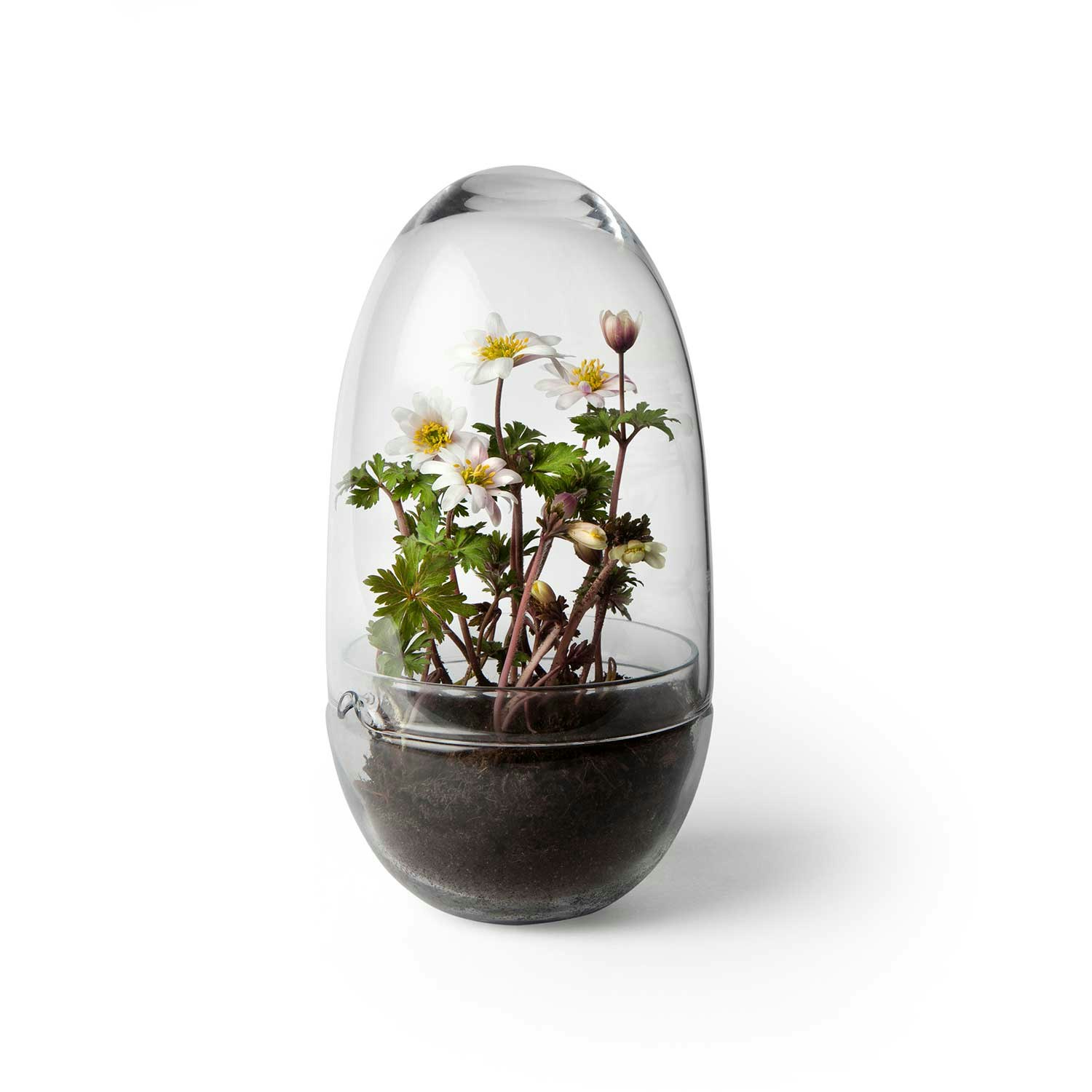 Design House Stockholm Grow Miniv&auml;xthus - Krukor Glas Klar - 2376-0000