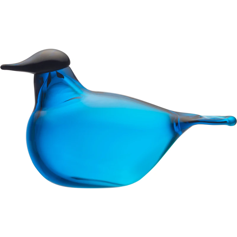 Chiffchaff Glasfågel, Turkos