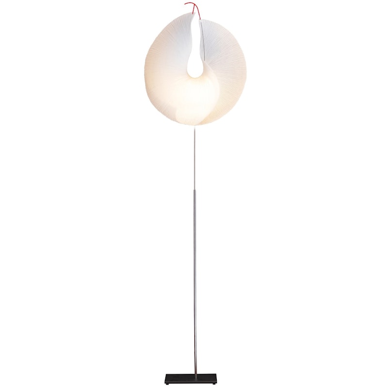 Yoruba Rose Golvlampa, Vit