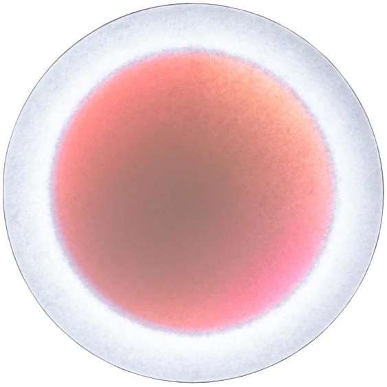 Ingo Maurer Moodmoon Vägg-/taklampa 60 Cm Röd - Vägglampor Papper Röd - 1095060