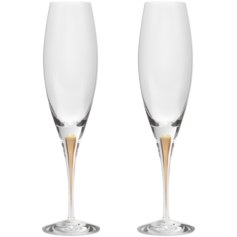 Intermezzo Champagneglas 2-pack 26 cl, Guld