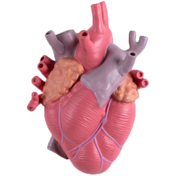 Seletti Love In Bloom Vas Color - Vaser Porslin Rosa - 09923