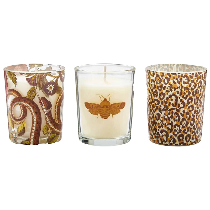 Creatures Of Curiosity Votives - Set of  3